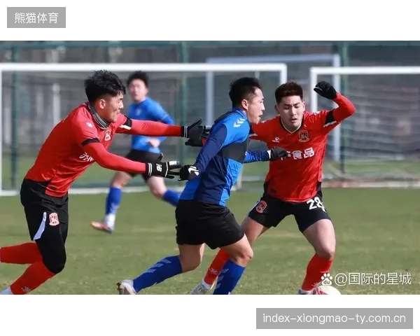 大连英博保级成功后转型计划浮现，俱乐部野心升级